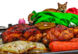 Roasted Lemon Garlic Chicken with Onions, Potatoes and Carrots. My cat Squanchy can be seen in the background staring at the juicy chicken pieces.